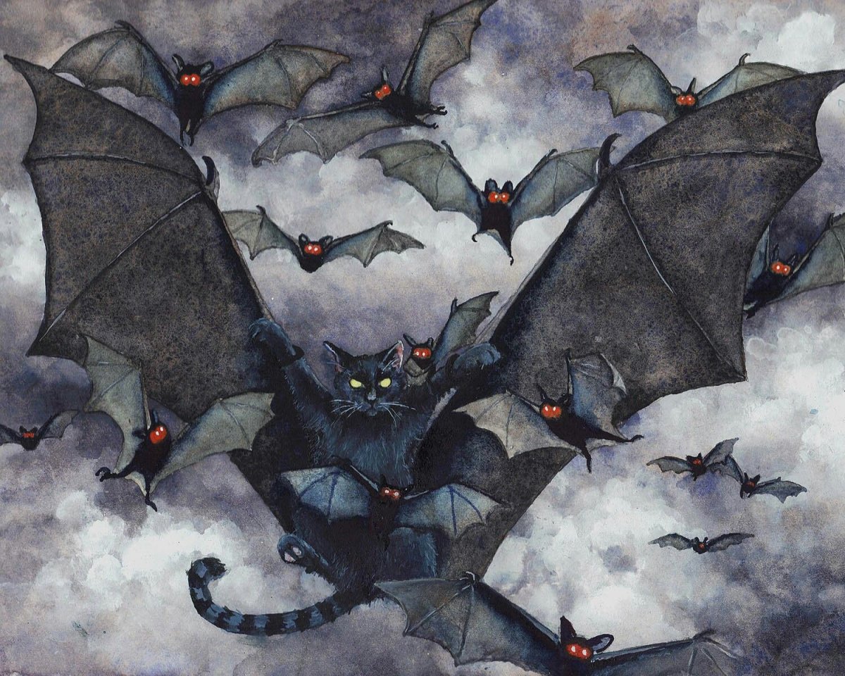 Аниме парни коты