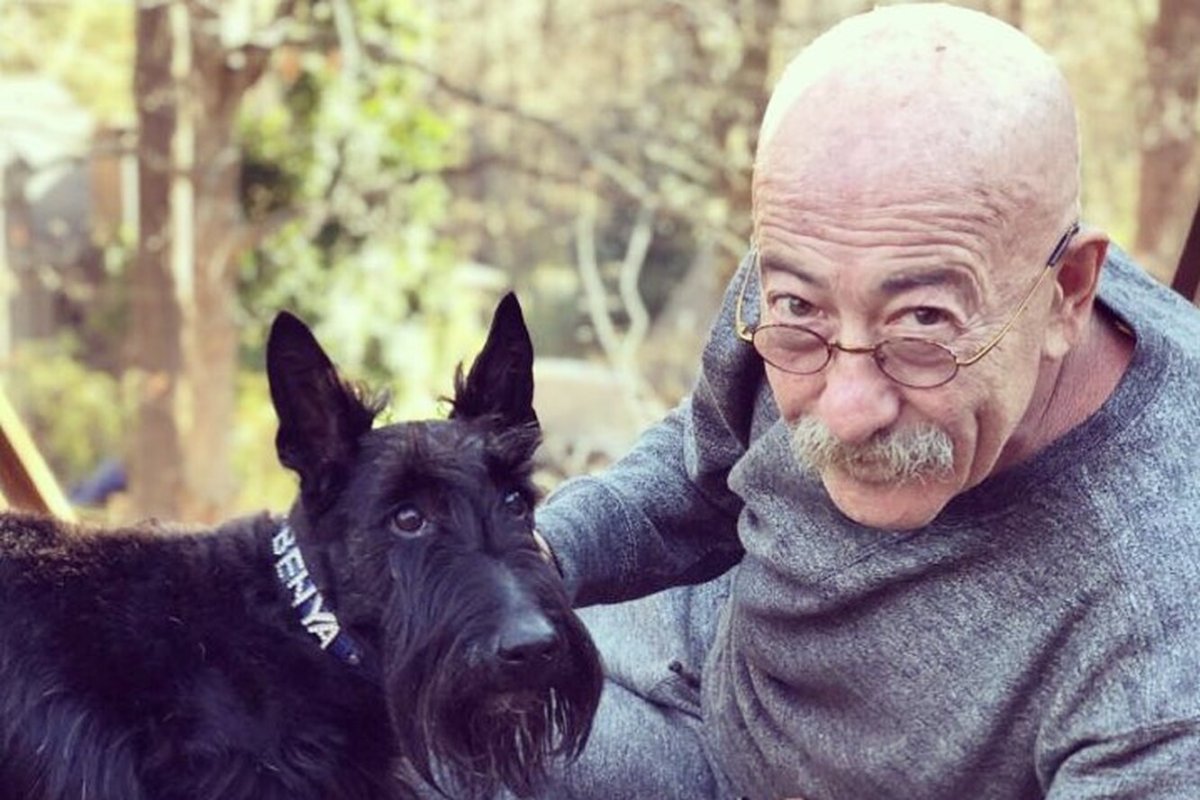 Овчарка купается