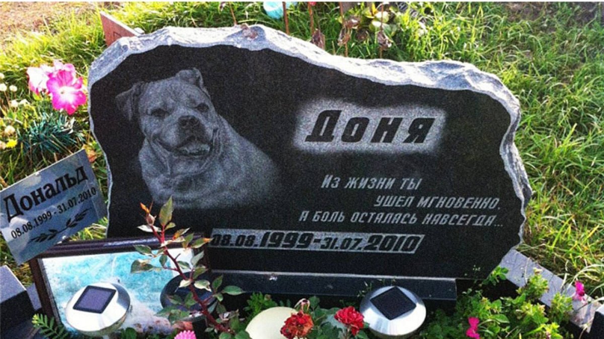 Милые щенки