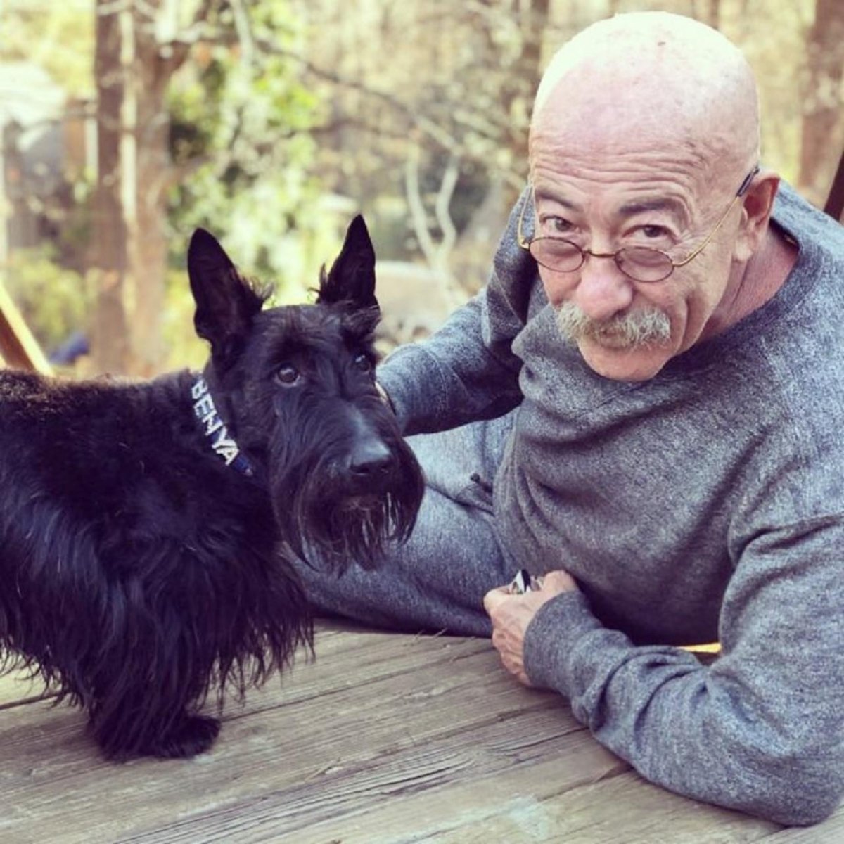 Александр Розенбаум бультерьер