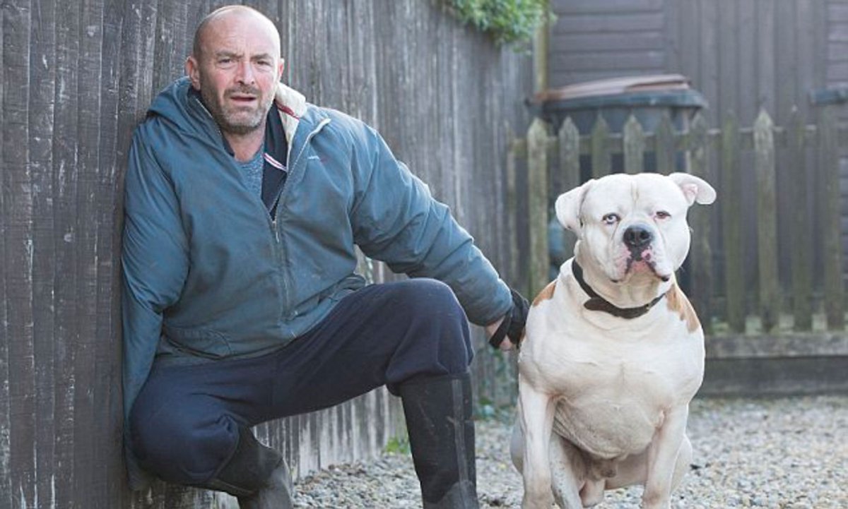 Александр Розенбаум с собакой