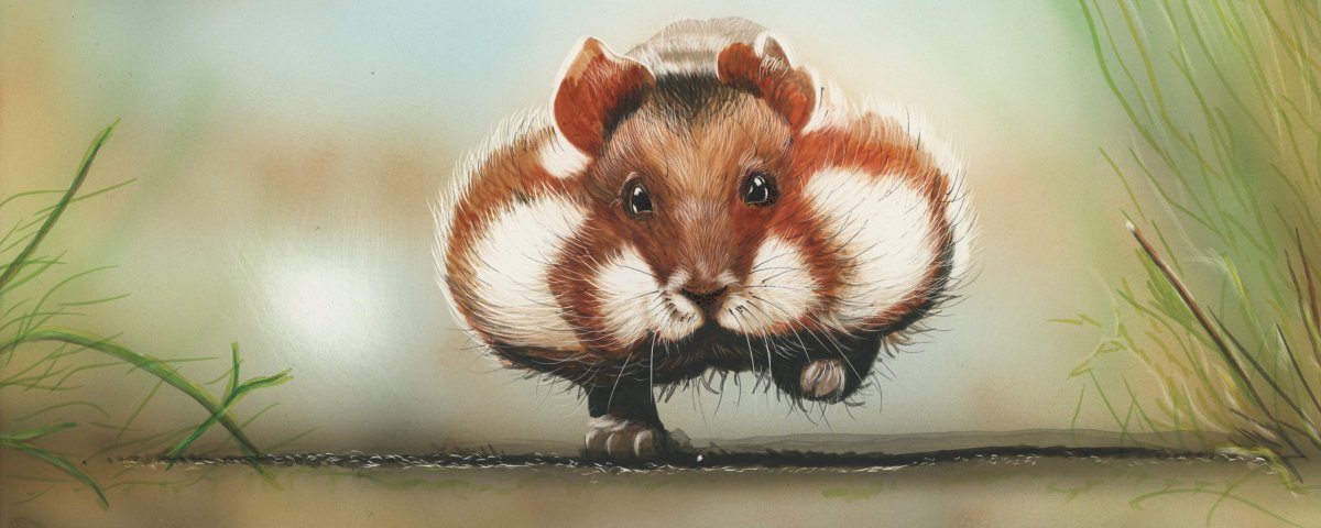 Хомяк прыгает