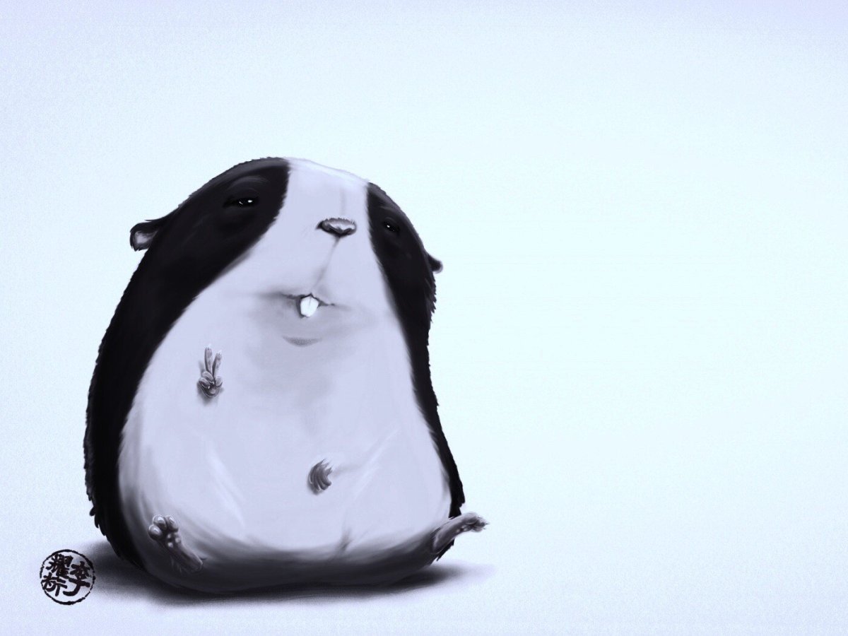 Хомяк бежит