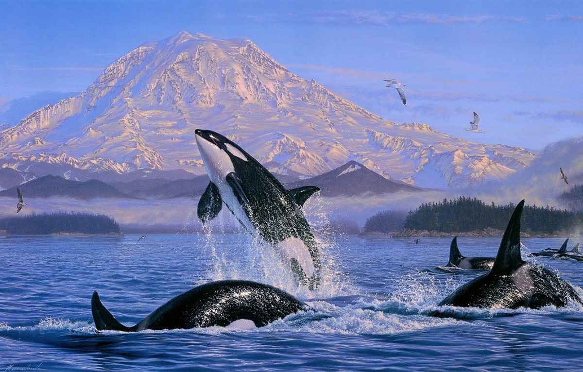 Космический кит