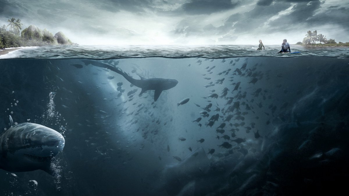 Картина Касатка