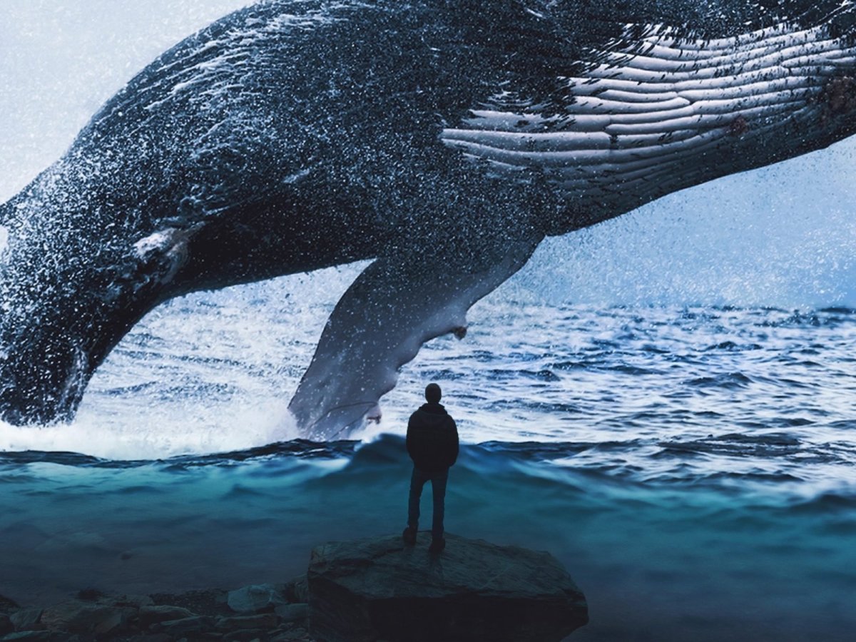 Красивый кит