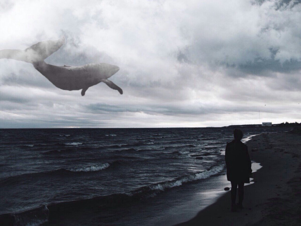 Кит под лодкой