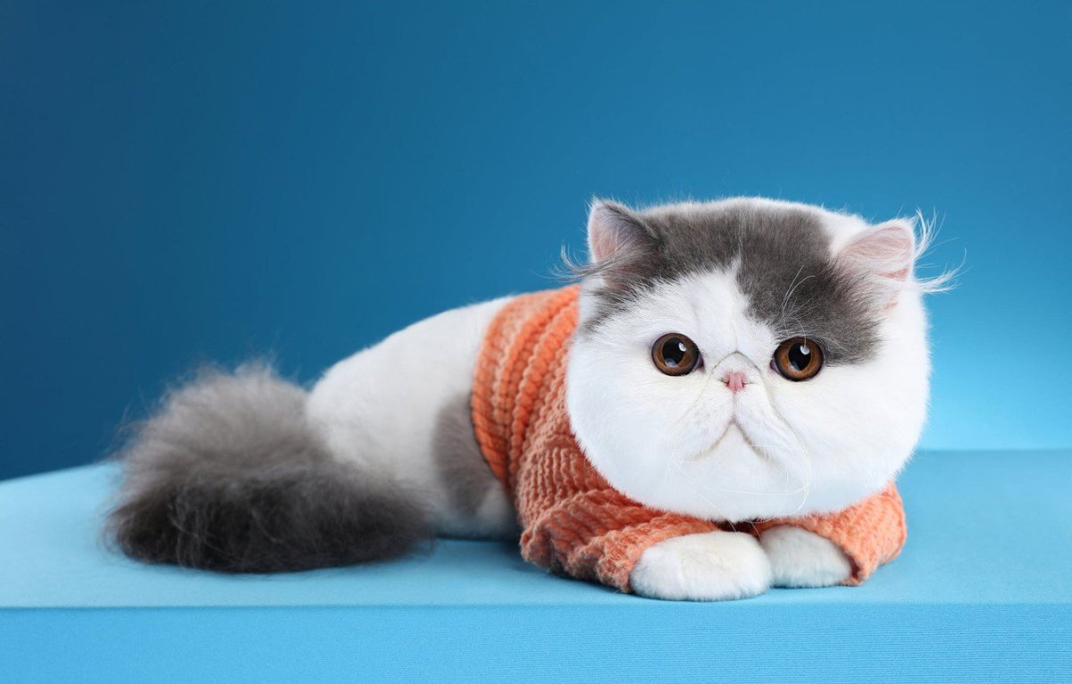 Игрушка мягкая экзот