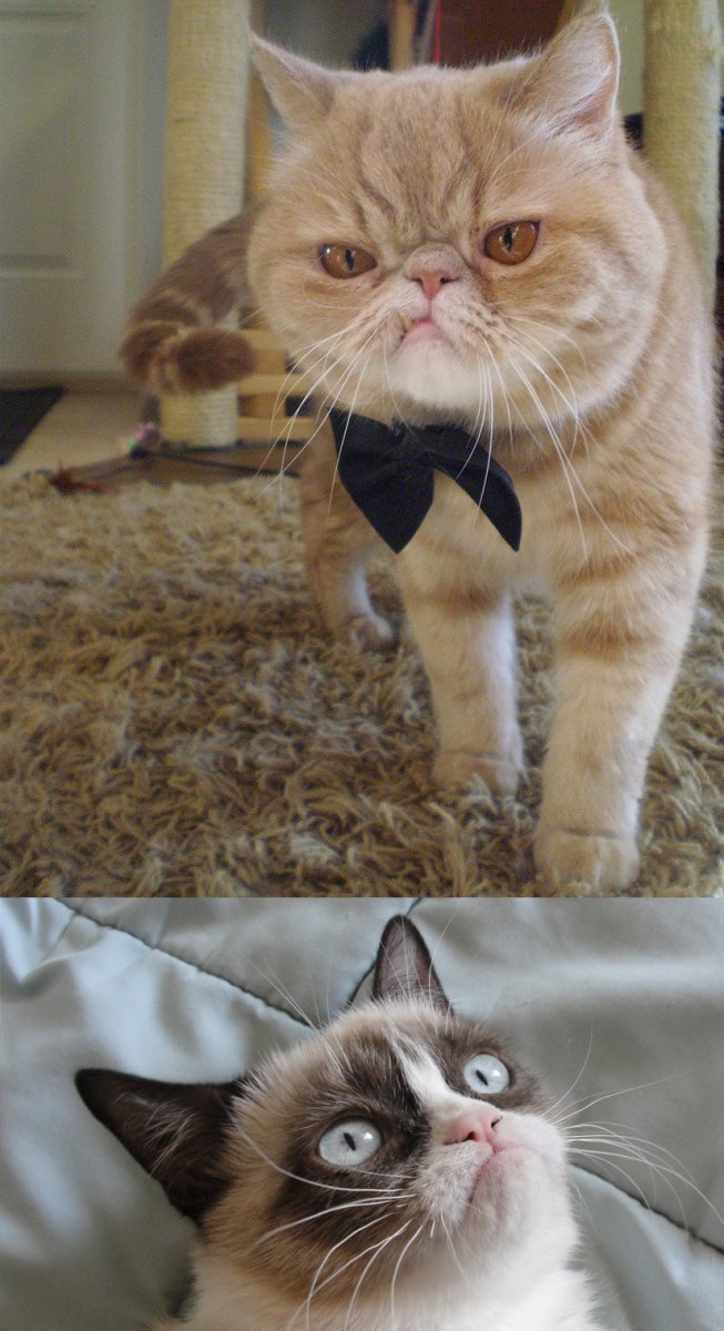 Экзот рисунок