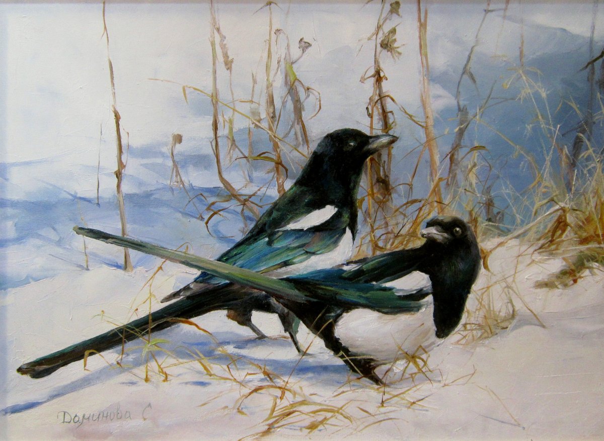 Сорока в китайской живописи