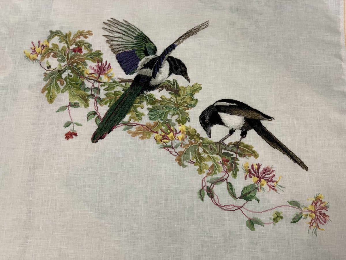 Много птичек