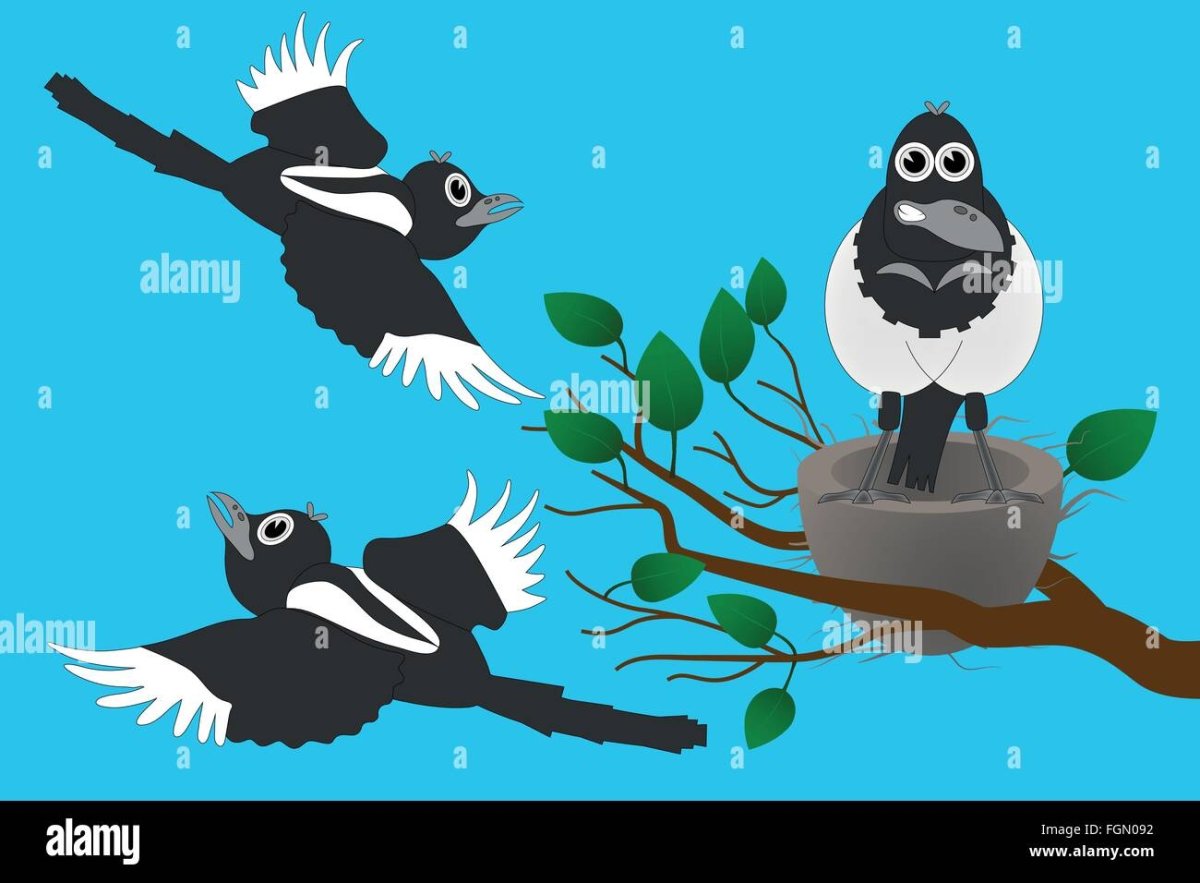 Влюбленные птицы в полете