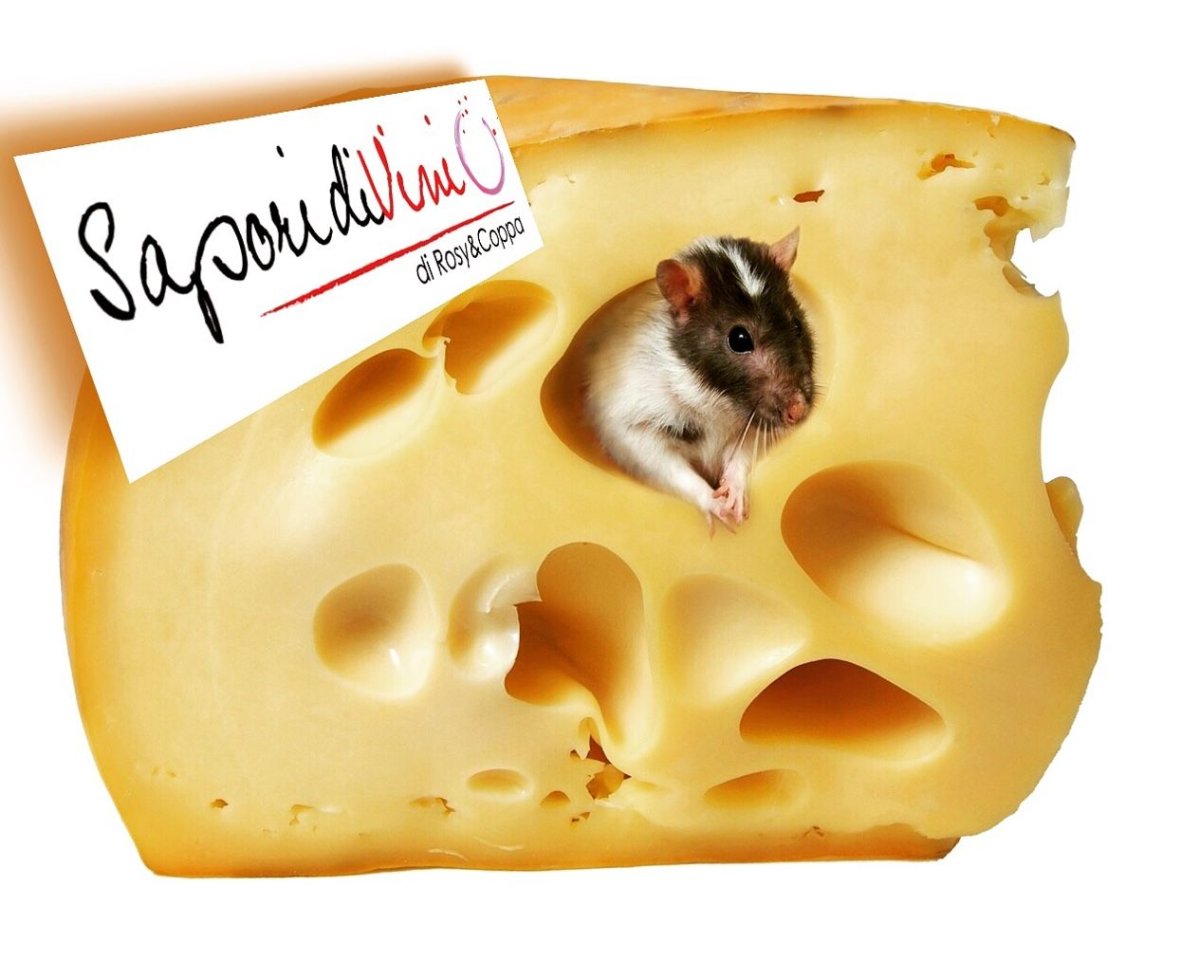 Сыр и животные