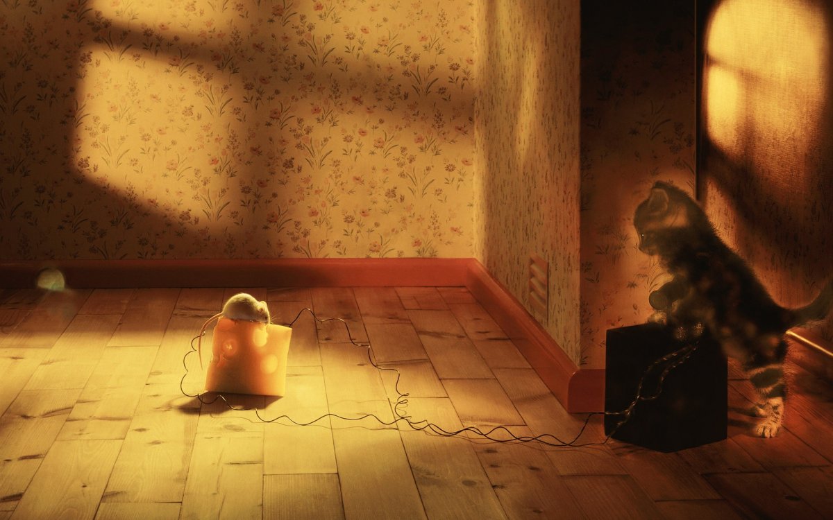 Забавные заставки на рабочий стол