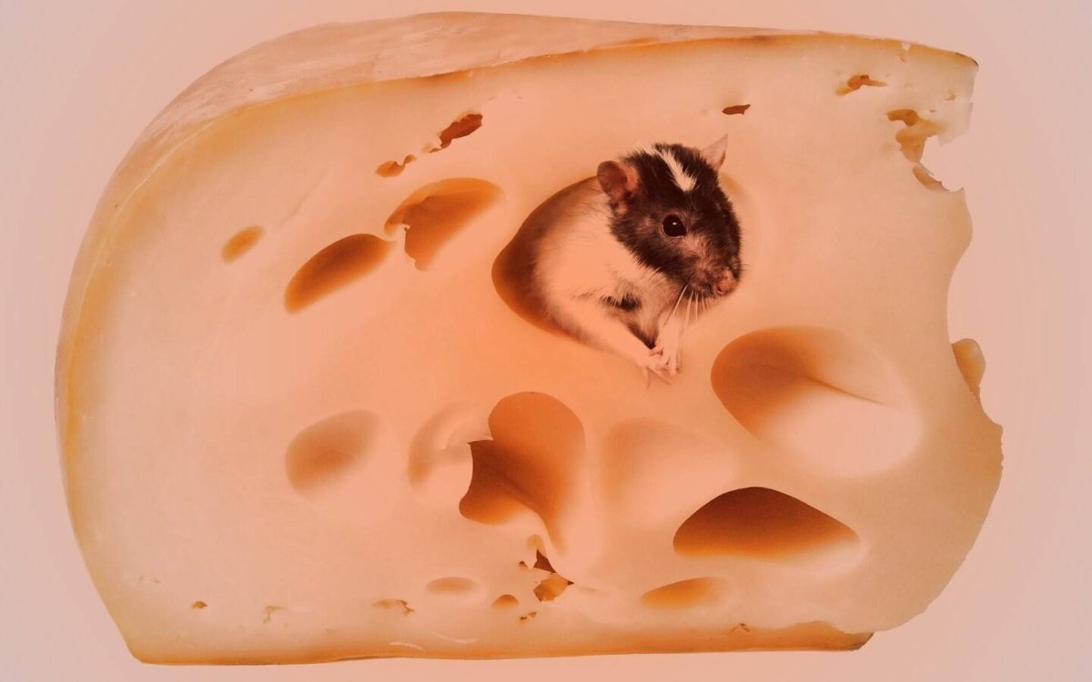 Сырная мышь