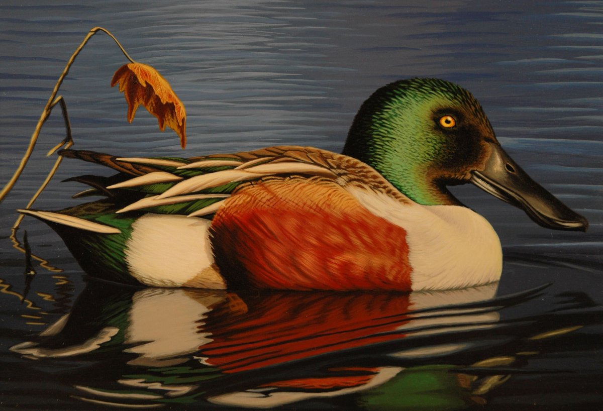 Уточки арт в природе