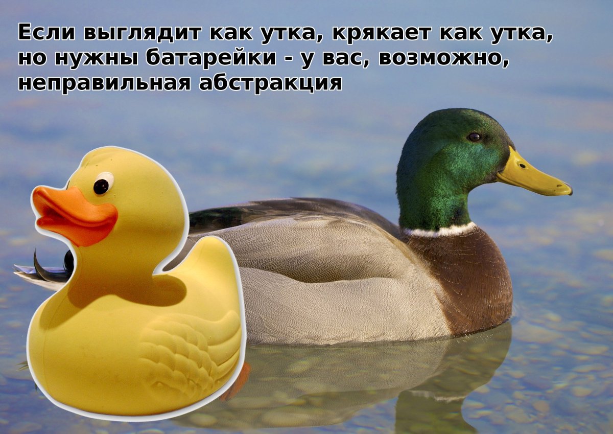 Утка крякает