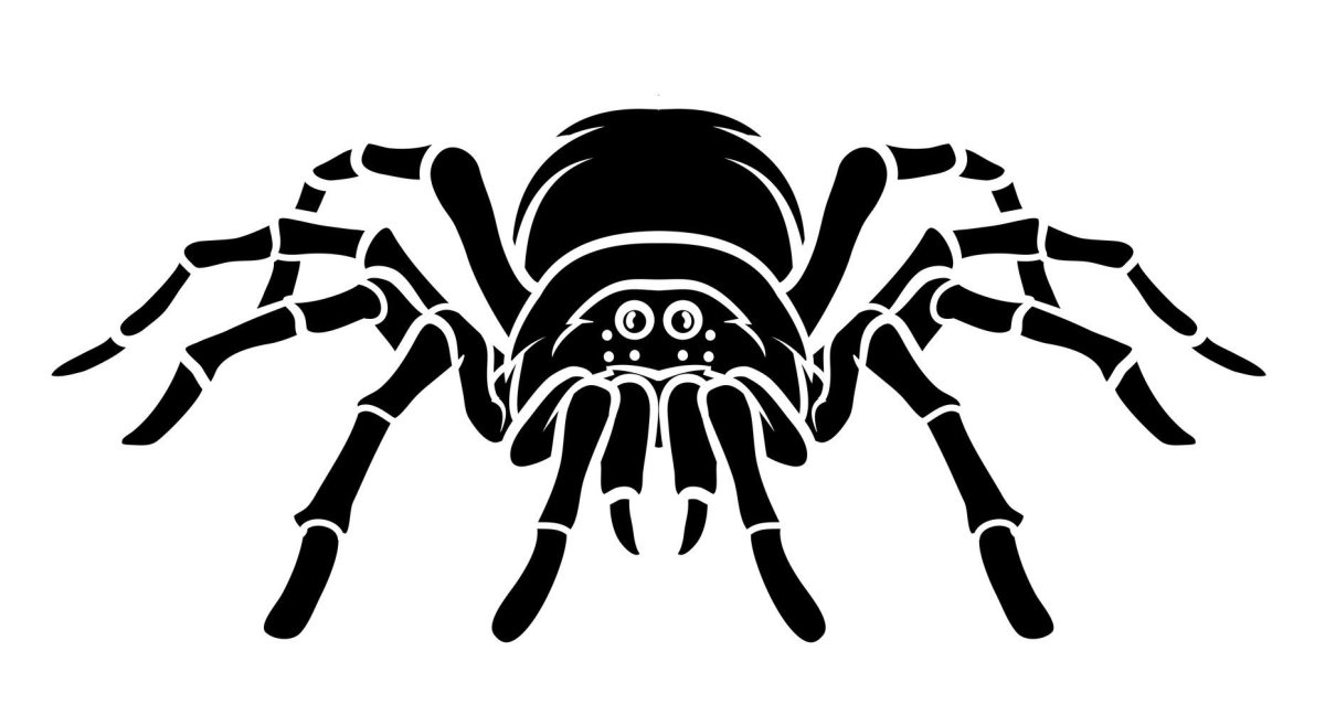 Паук символ