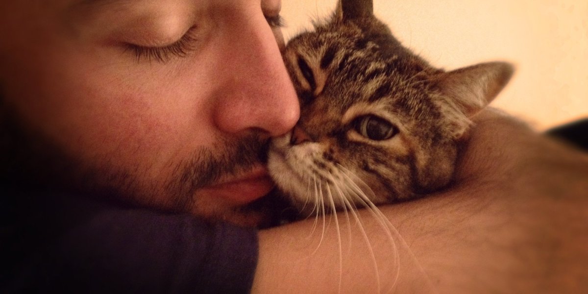 Мусульман мужчины с котиками