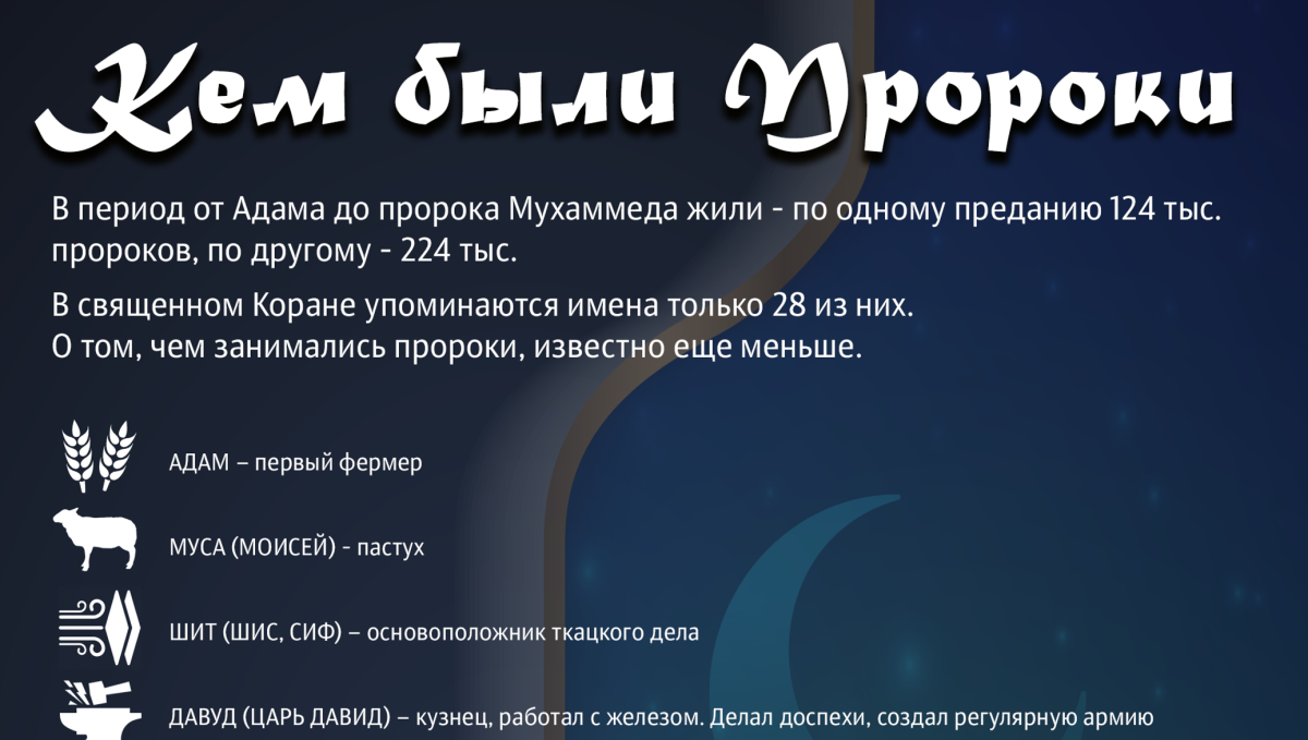 Кошка пророка Мухаммеда Муизза