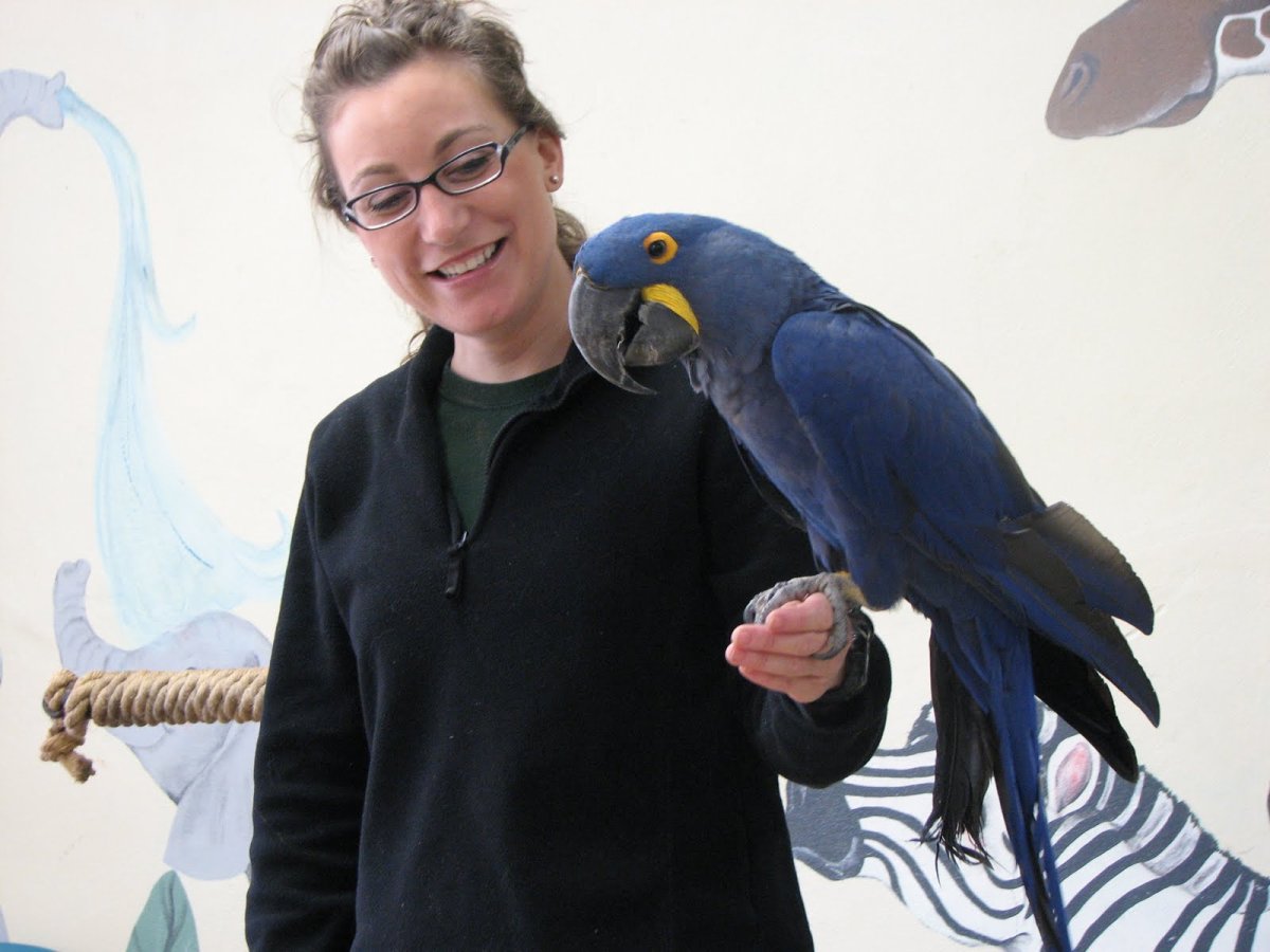 Джессика Клементс с попугаем