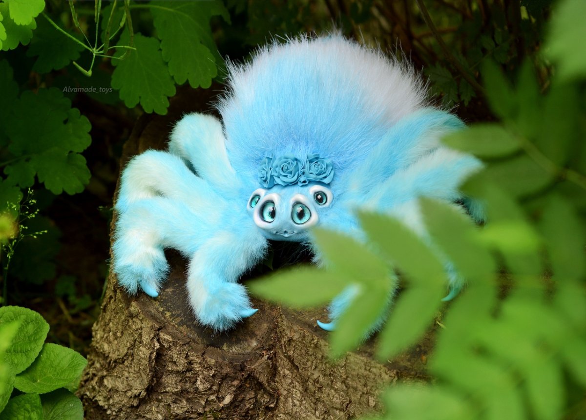 Маратус персонатус паук