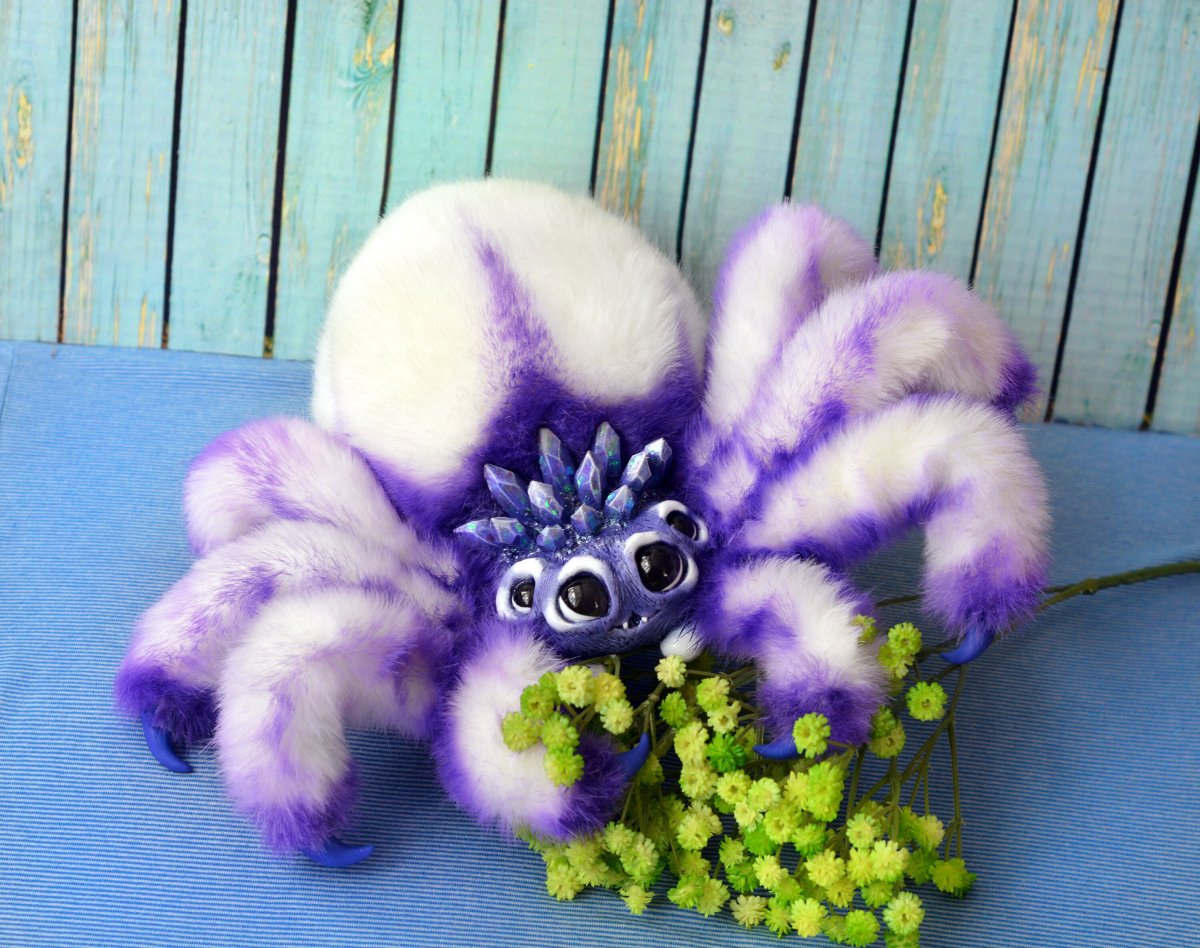 Паук скакунчик глаза