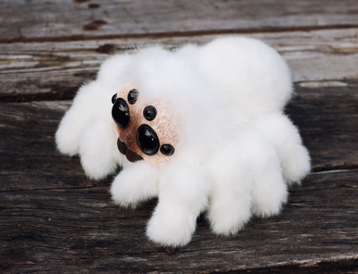 Тарантул белый пушистый