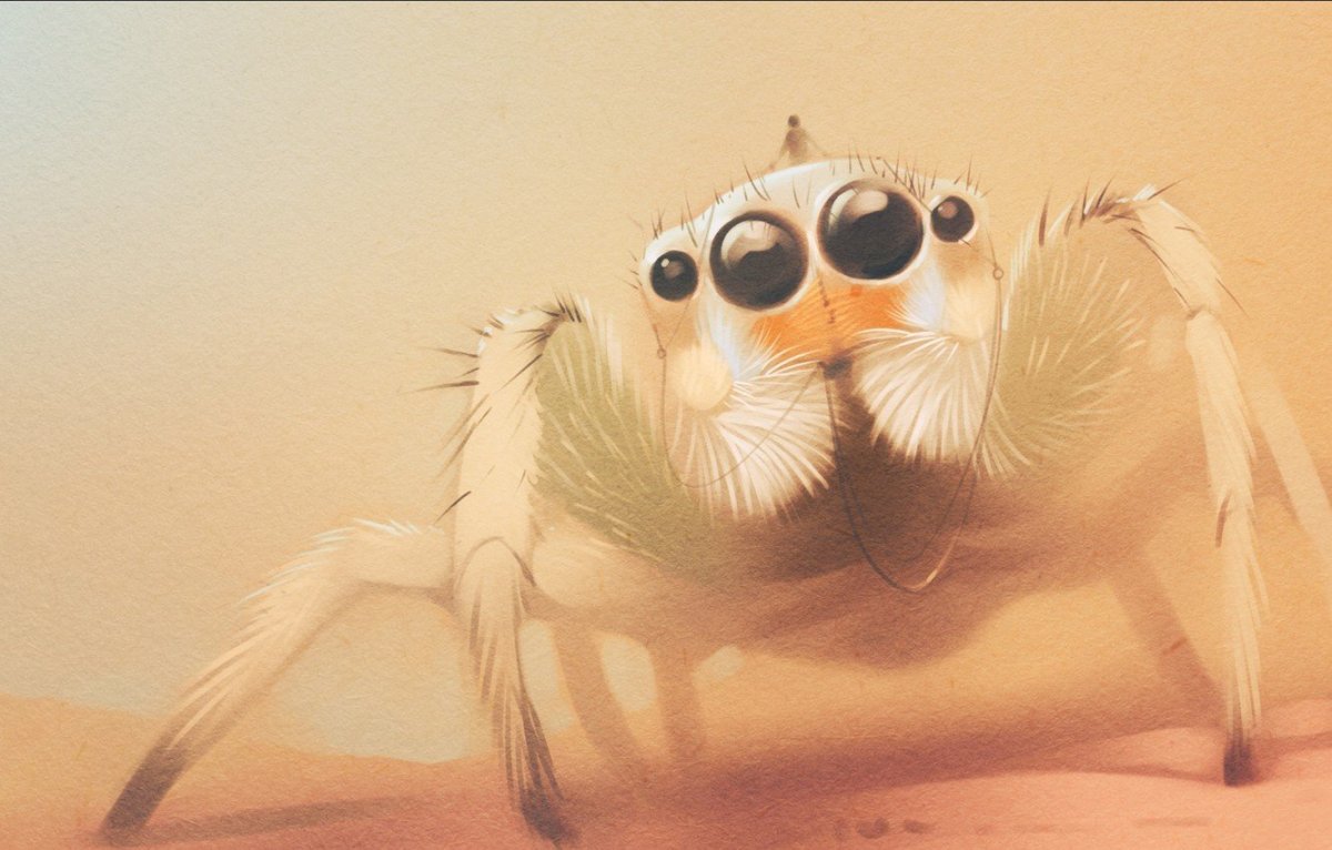 Лапы кота ракурс снизу