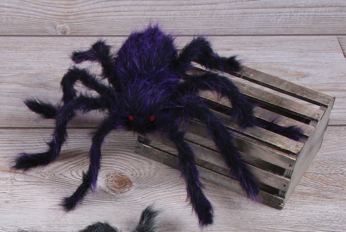 Арагог паук Австралия