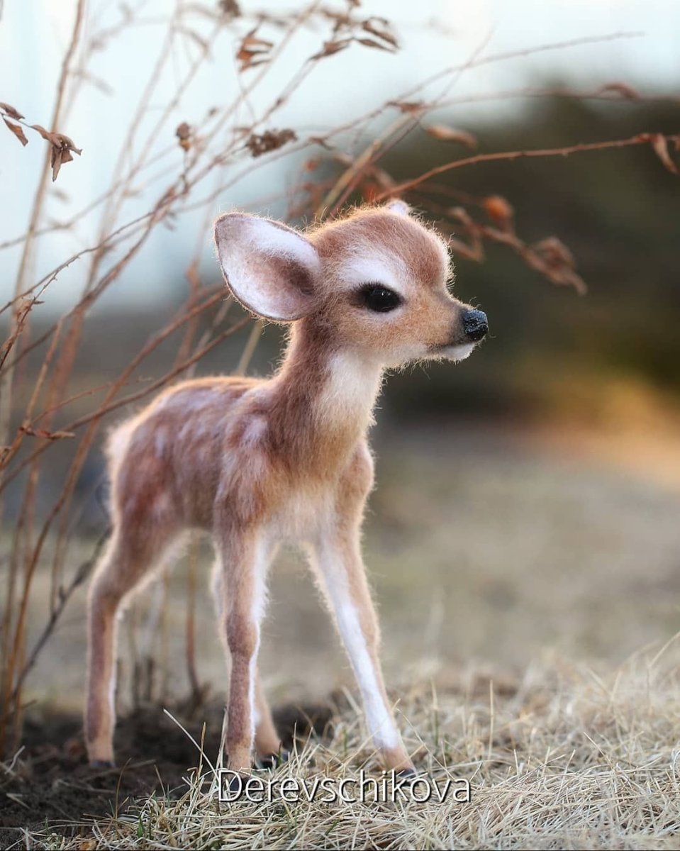 Маленький оленёнок