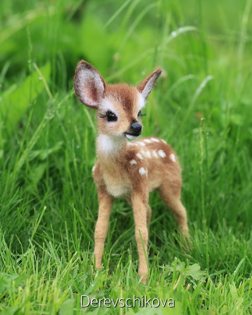 Пятничтьый олень жеткныш