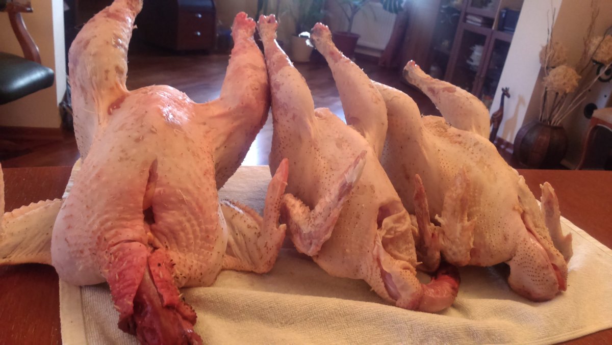 Ощипанный петух