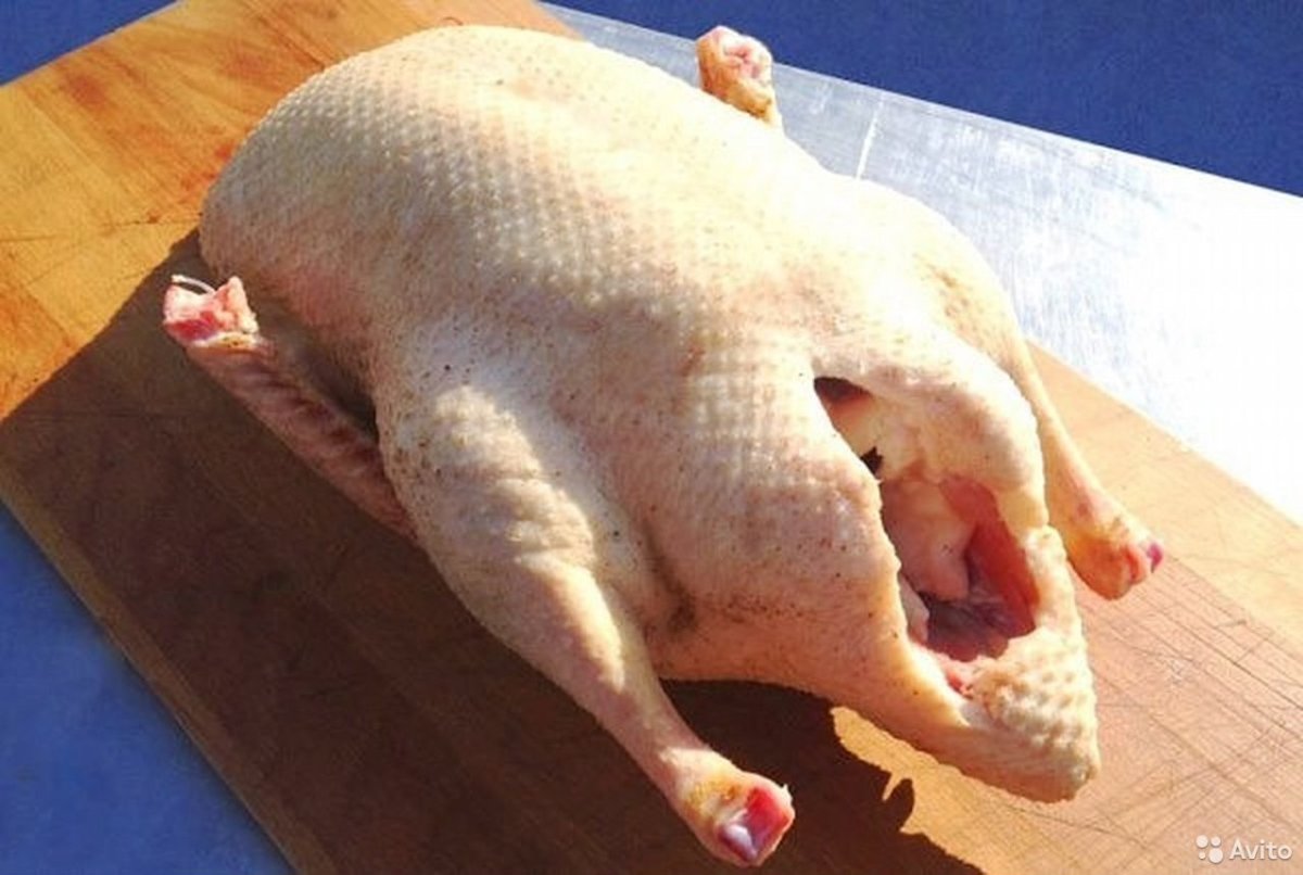 Курица демотиватор