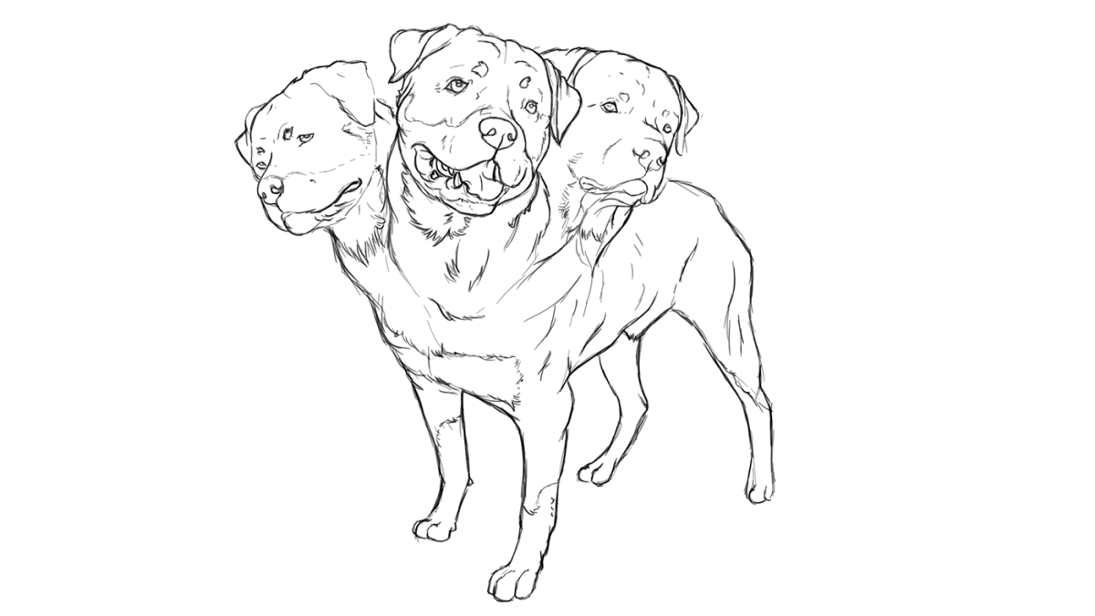 Раскраска ротвейлер