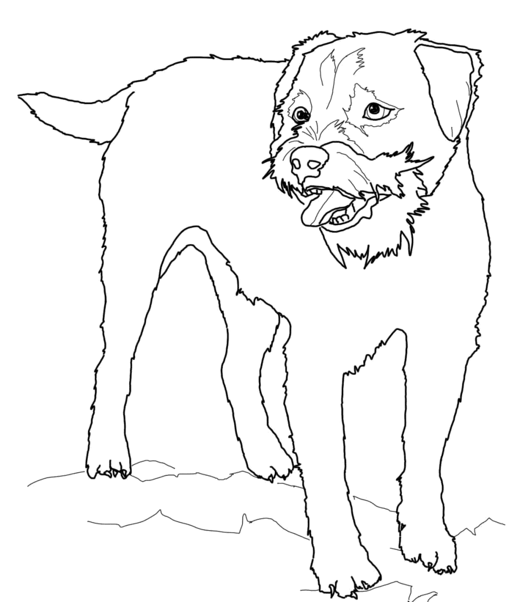 Собака Джек раскраска