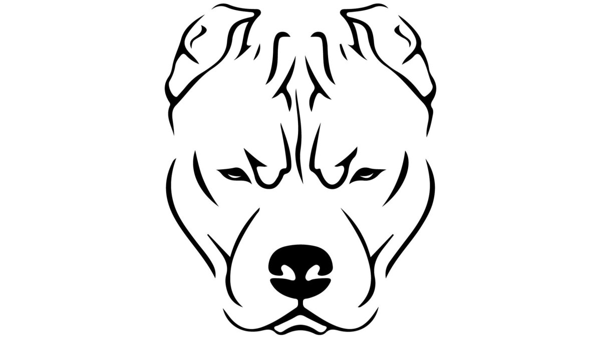 Морда собаки