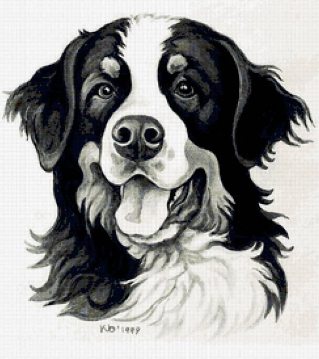 Черно белые картины собак