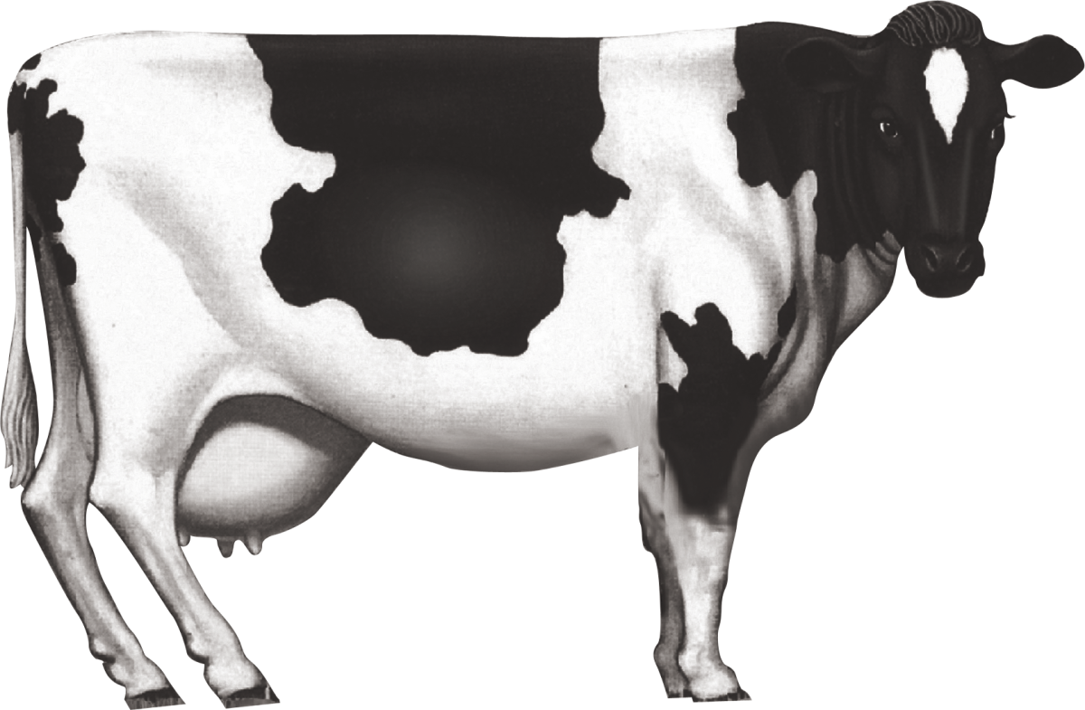 Трава для коров