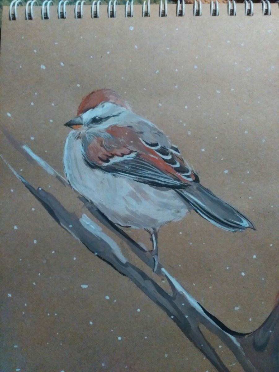 Пичужка рисунок