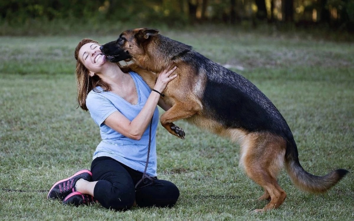 Аксарайский Малакли