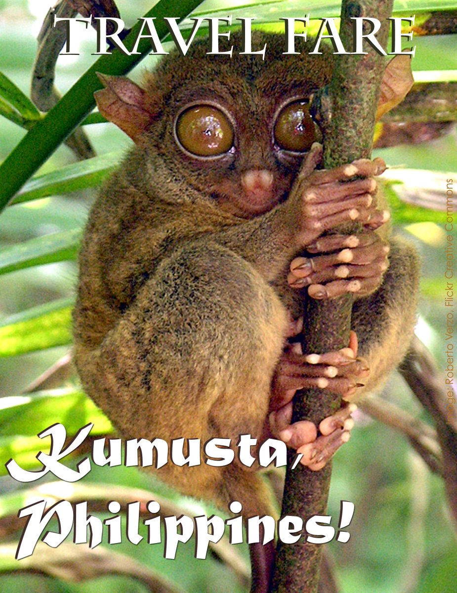 Глаза долгопята в темноте