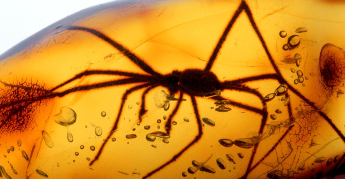 Древние инклюзы бабочка