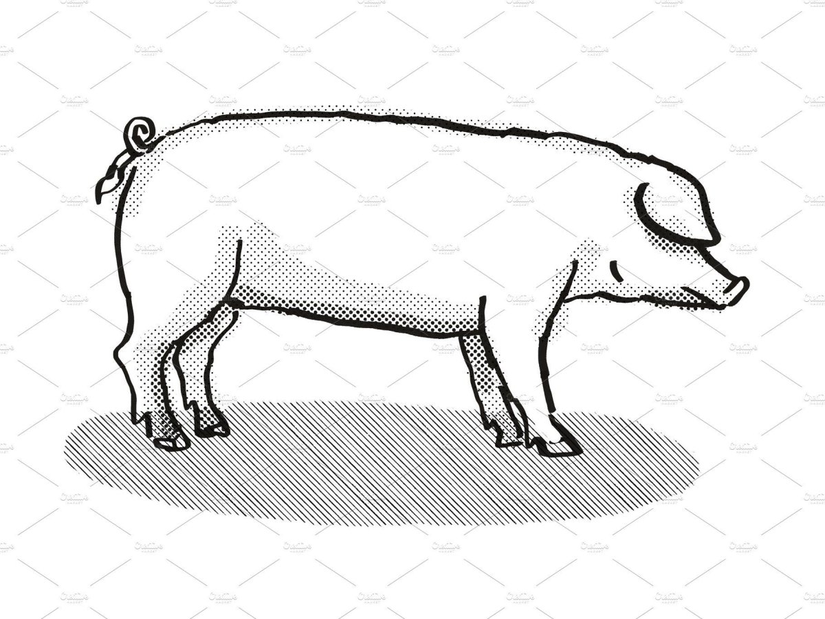 Эстонская беконная свинья