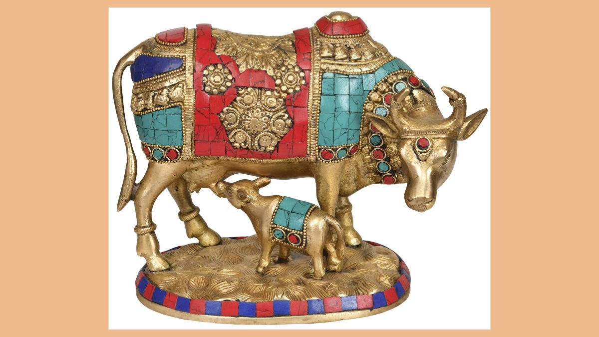 Священная индийская корова