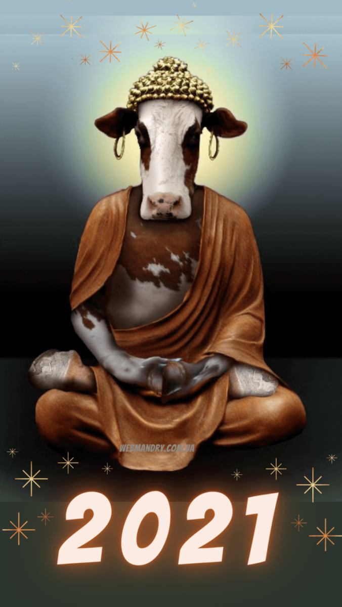 Священная корова смешные