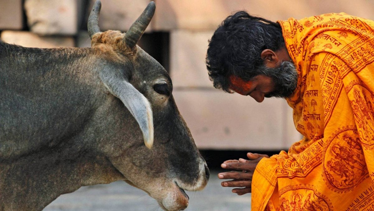 Священные животные у буддистов