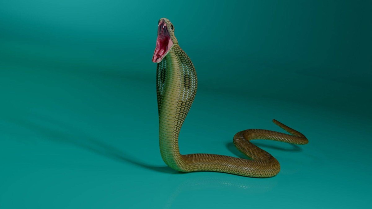 Куфия Салазара