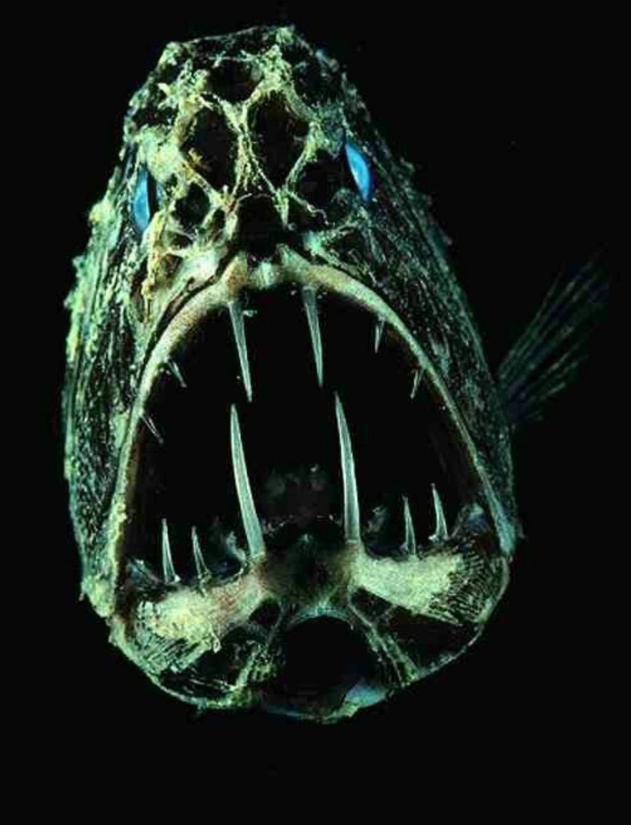 Длиннорогий Саблезуб