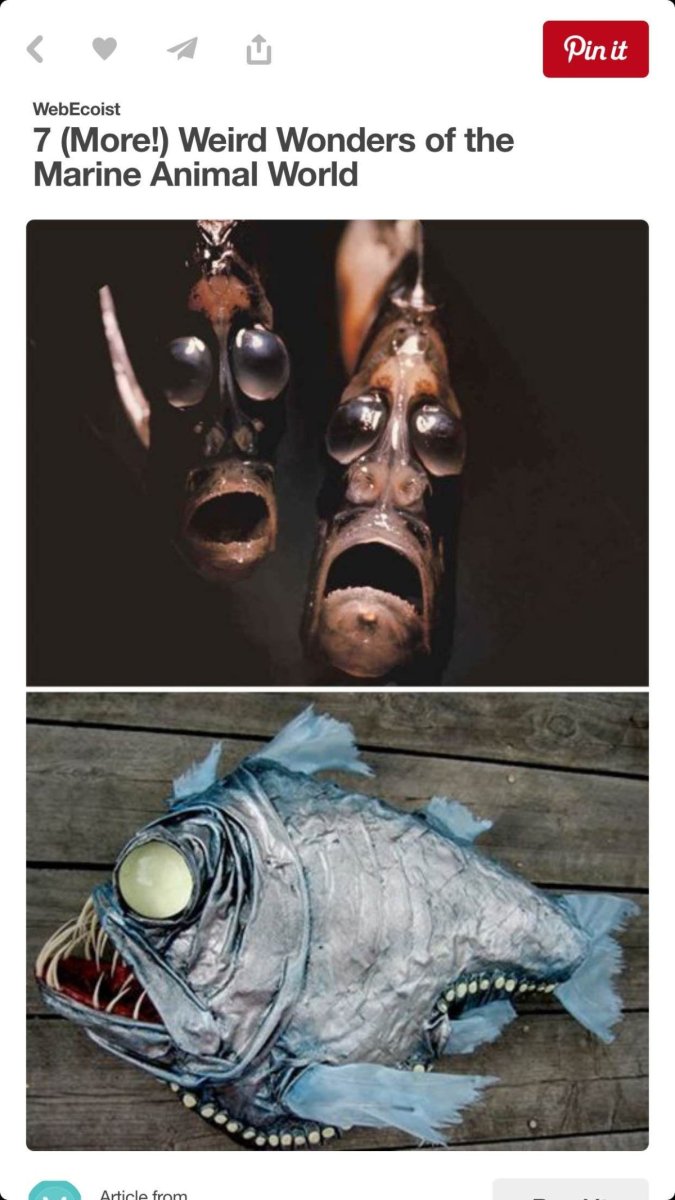 Глубоководные рыбы на поверхности